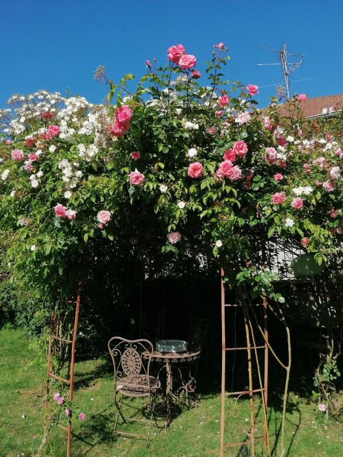 Bed and Breakfast Chambre D'Hotes Les Magnolias Pontpierre Zewnętrze zdjęcie